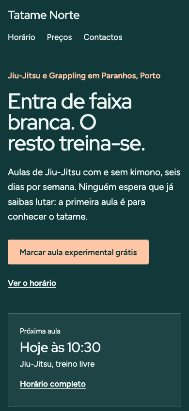 Brisa theme home page on a phone (demo site, text in Portuguese)