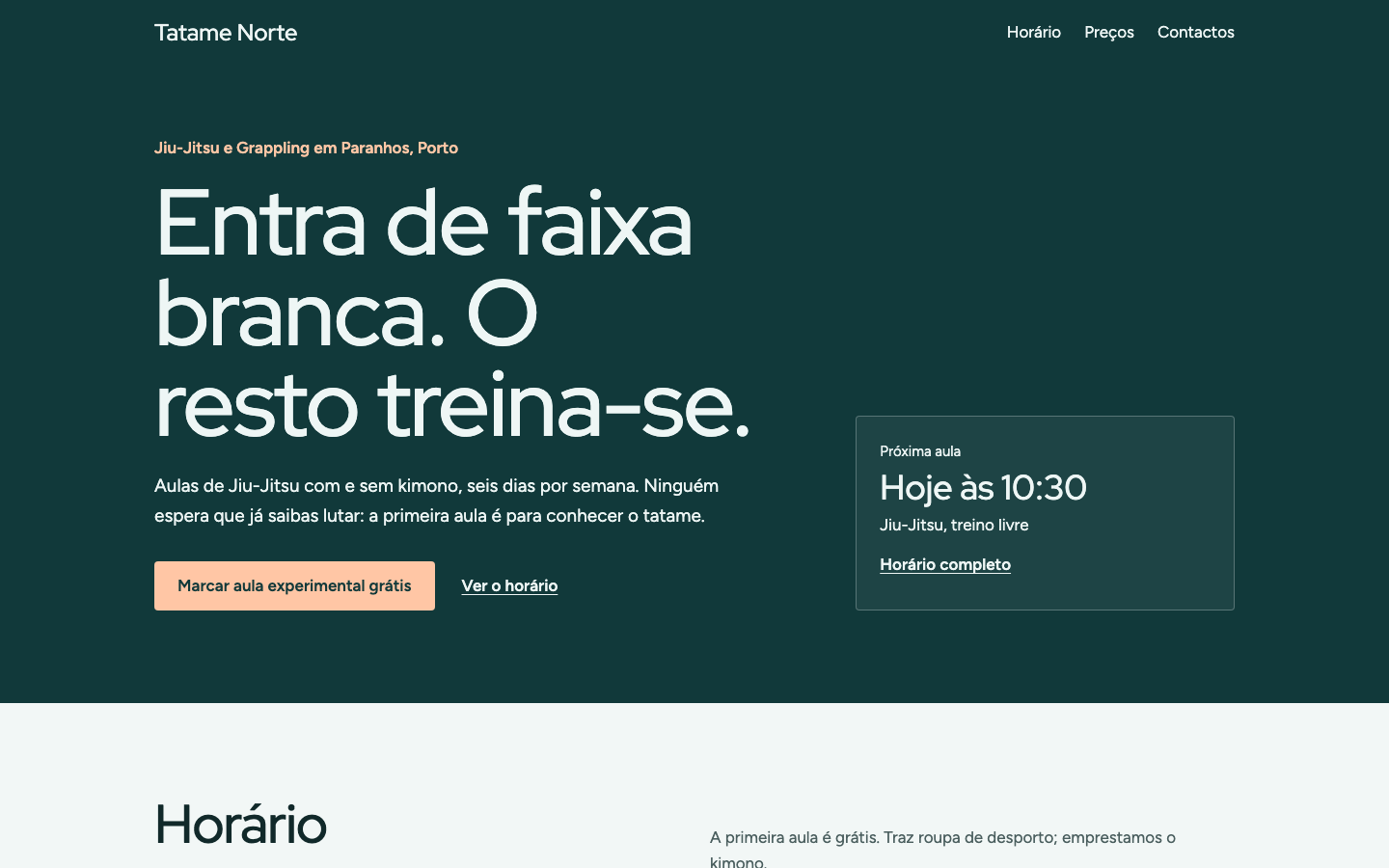 Brisa theme home page on desktop (demo site, text in Portuguese)