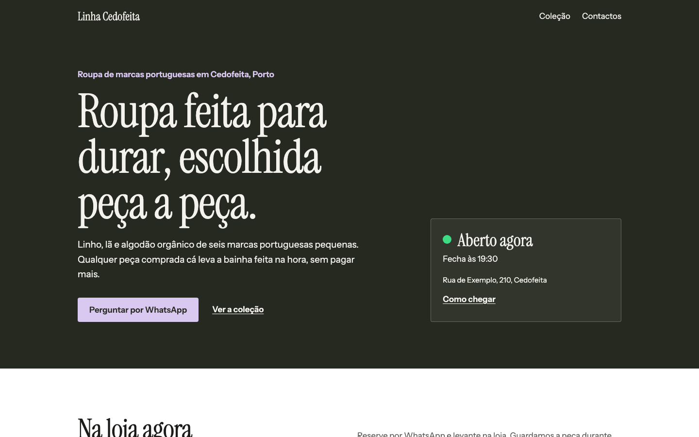 Linho theme home page on desktop (demo site, text in Portuguese)
